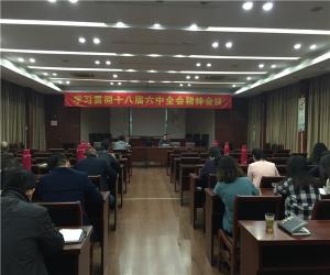 城投公司学习贯彻十八届六中全会精神会议