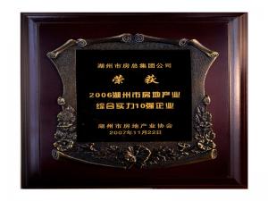 2006市房地产业综合实力10强企业