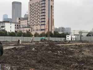 yl7703永利·望园项目开工建设
