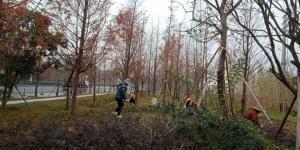 外环线绿化冬季养护进行时