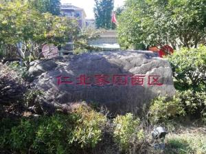 守护绿水青山！公司以“奔跑的姿态”加速推进“污水零直排”建设任务
